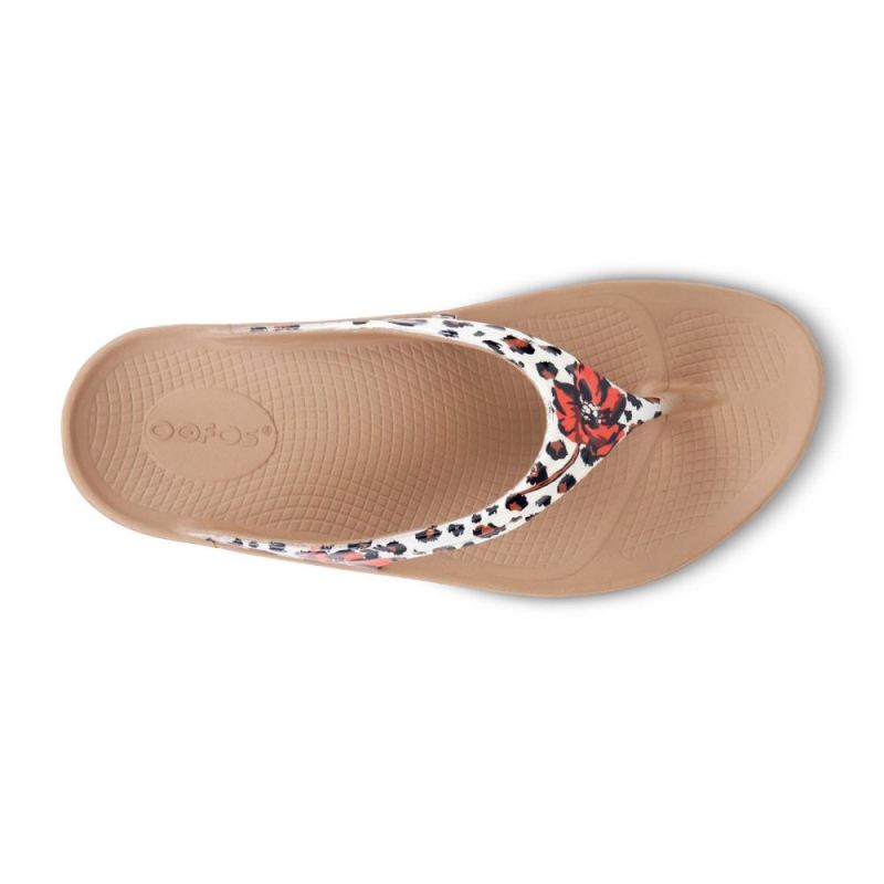Oofos Women's OOlala Limited Sandal - Leopard Flora B1h9SqDL